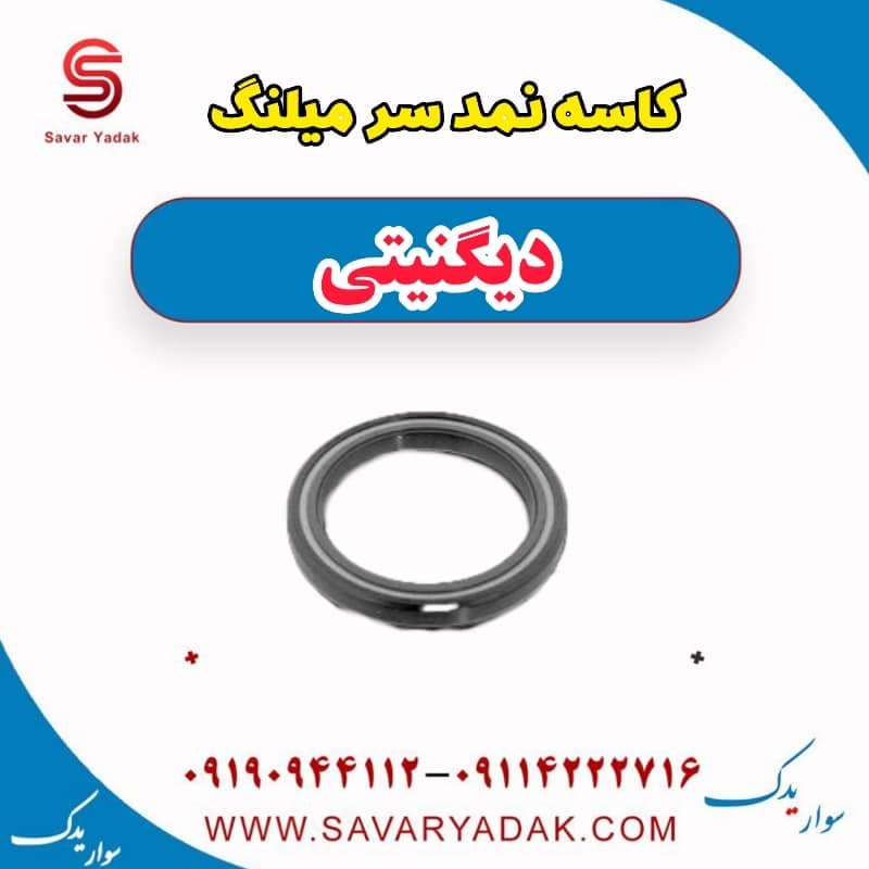 کاسه نمد سر میلنگ دیگنیتی