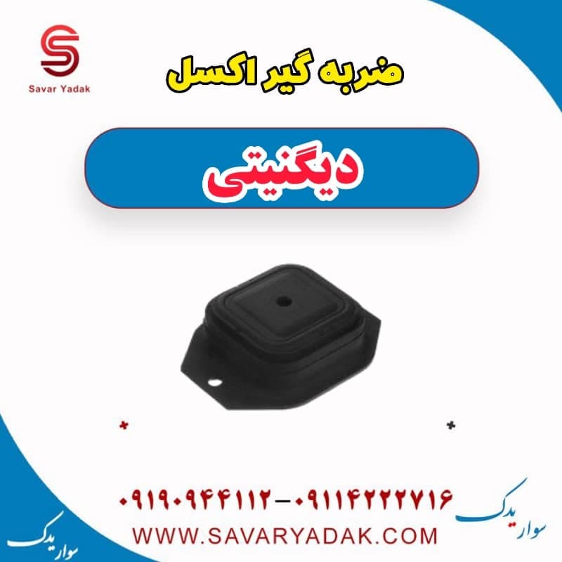 ضربه گیر اکسل دیگنیتی — تصویر ۲