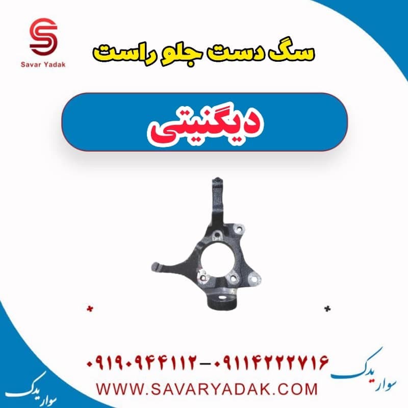 سگ دست جلو راست دیگنیتی — تصویر ۲