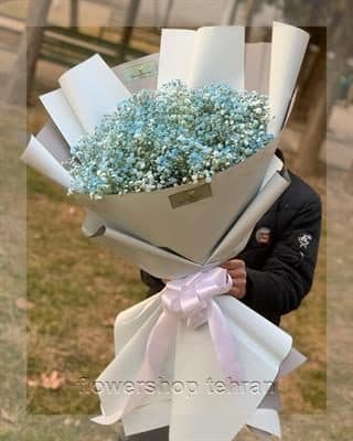 با دسته گل ژیپسوفیلا قیمت بدون حرف اضافه، توجه و محبتت را نشان بده