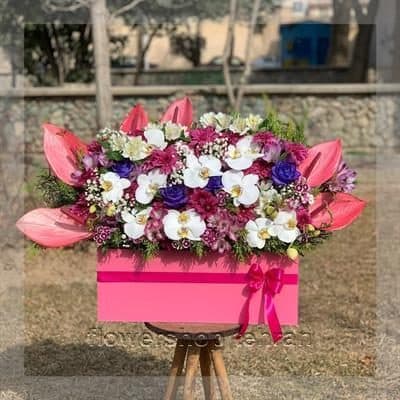 اگر دنبال هدیه شیک و بیدردسر هستی، گل ژیپسوفیلا کوچک گزینه خوبی است — تصویر ۲