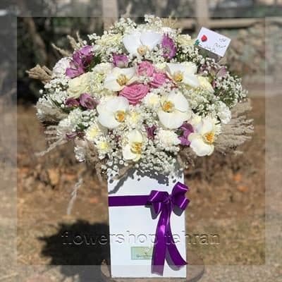 ژیپسوفیلا قیمت لوکس برای سلیقههای سختپسند