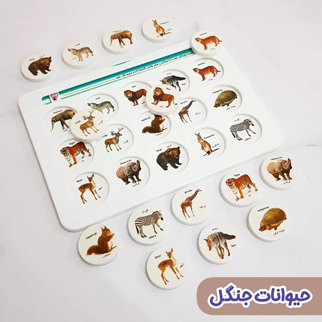 هوشچین یک تکه با طرح واقعی — تصویر ۵
