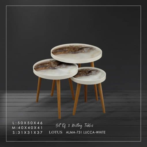 میز عسلی سه تکه مدل ALMA کد LUCCA-731 رنگ WHITE و GRAY — تصویر ۹