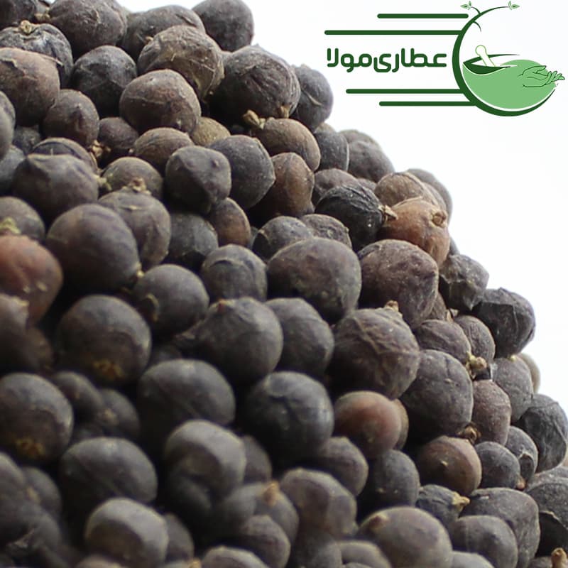 ابهل یا سرو کوهی — تصویر ۲
