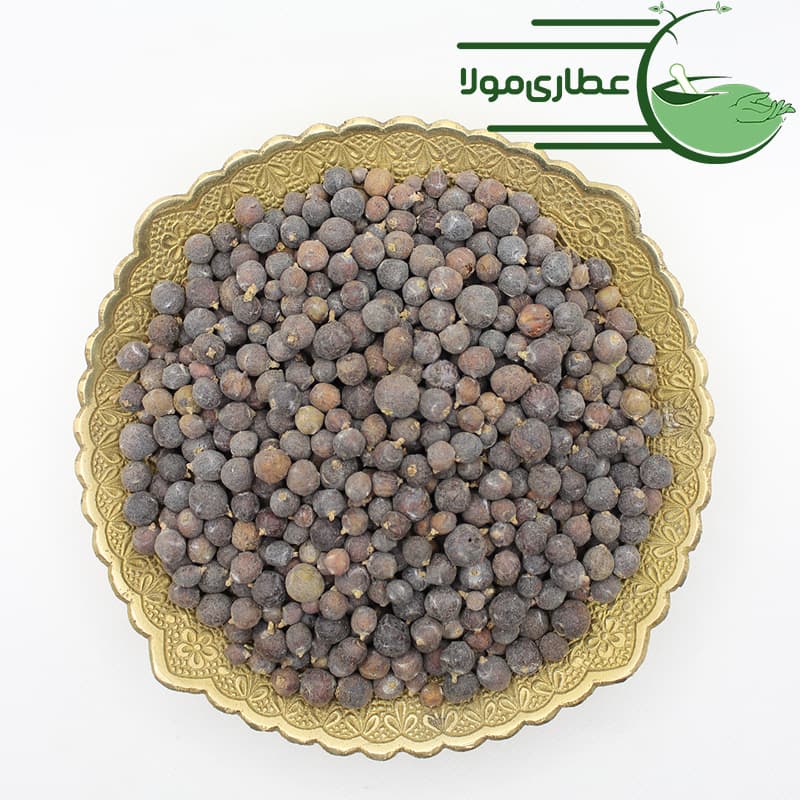 ابهل یا سرو کوهی — تصویر ۳