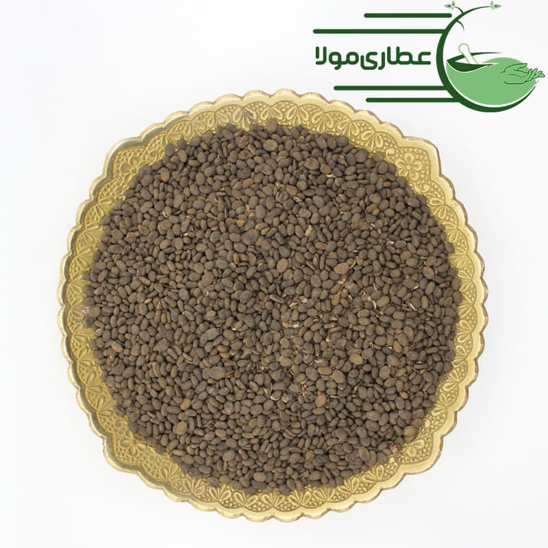 باپچی هندی یا باکوچی — تصویر ۳
