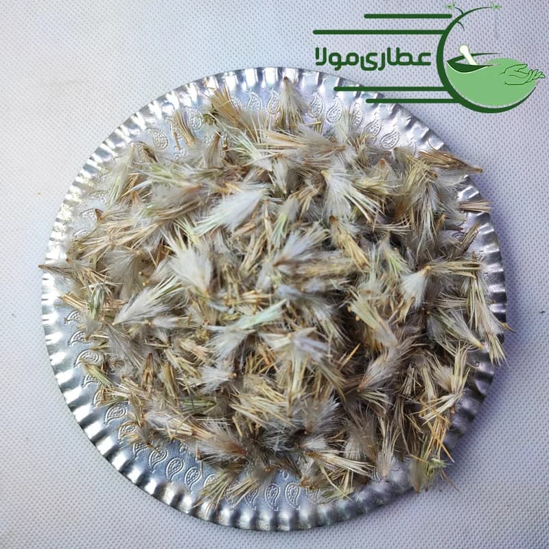 قاصدک کبیر — تصویر ۳