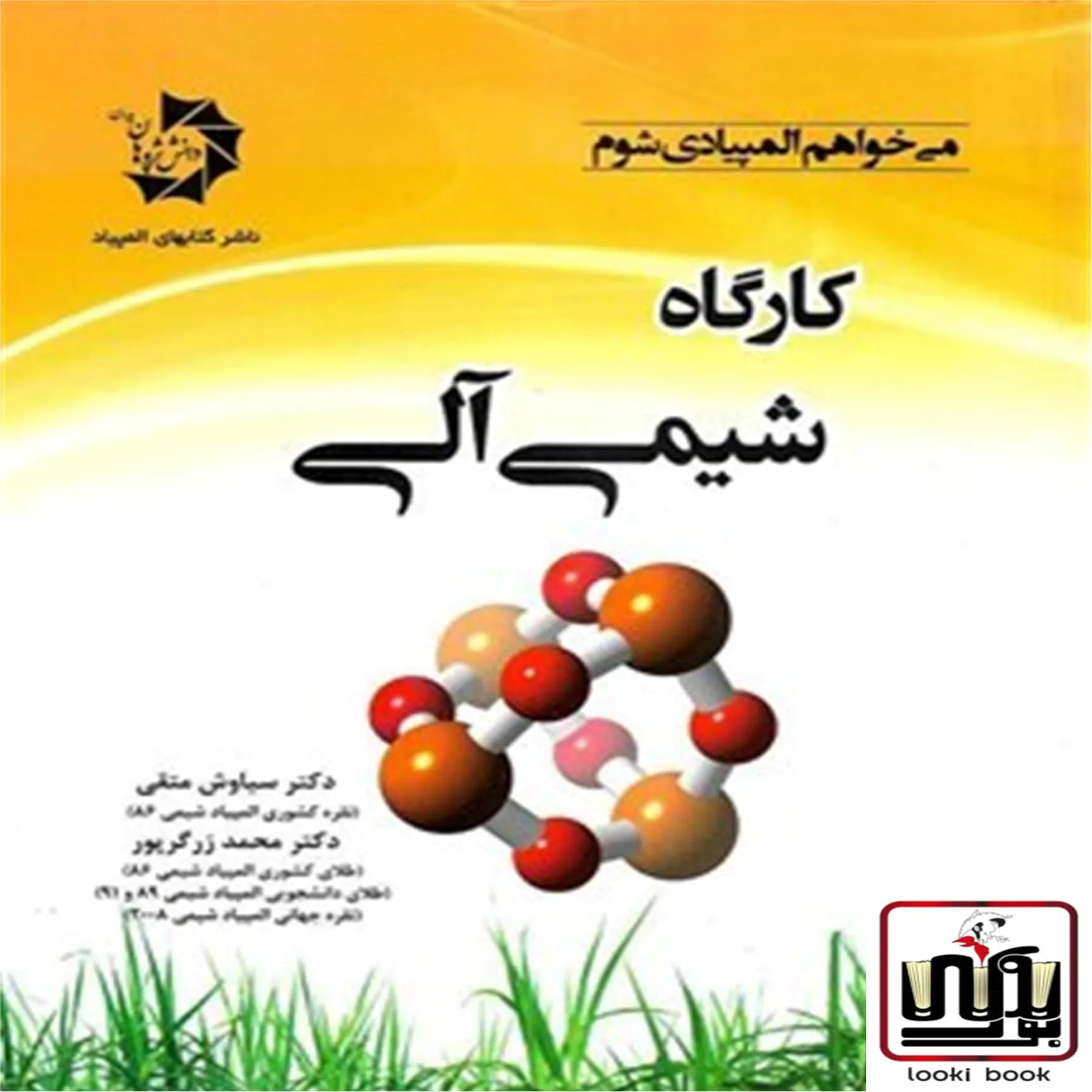 کارگاه شیمی آلی دانش پژوهان جوان — تصویر ۴