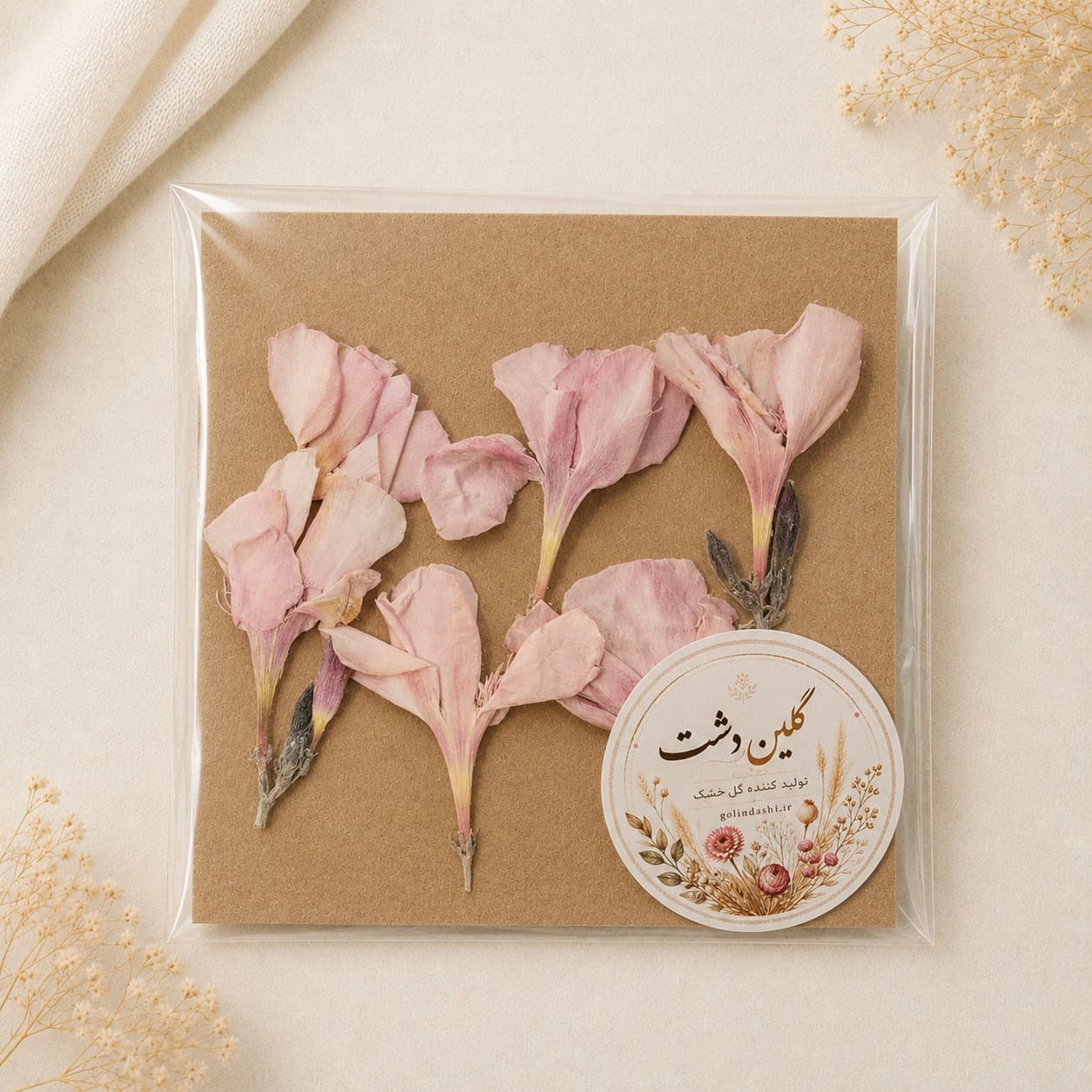 گل اولندر (خرزهره) برجسته خشک طبیعی – طیف صورتی پاستلی (۵ عددی)