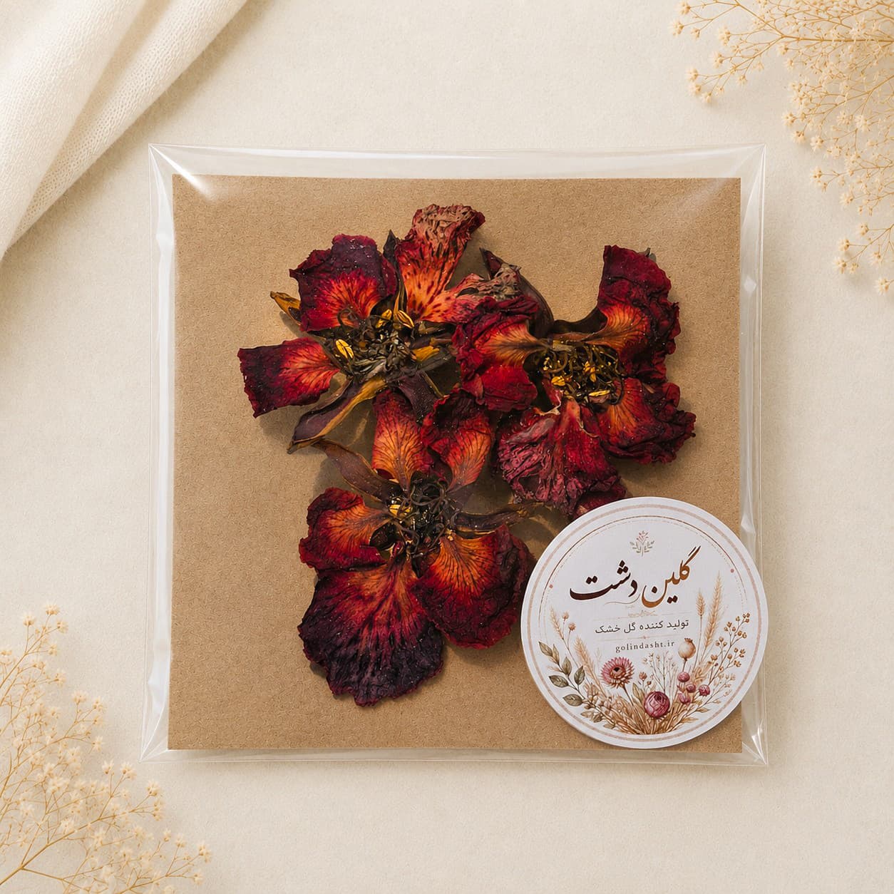 گل شعله جنگل مینیاتوری برجسته خشک طبیعی – (۳ عددی)