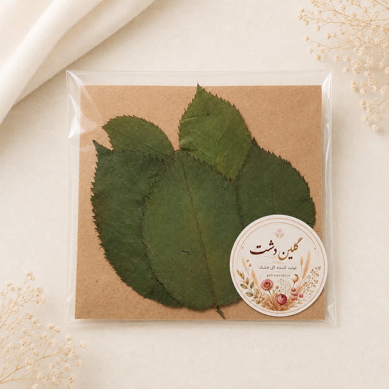 برگ رز هلندی پرسی خشک طبیعی – طیف سبز (۵ عددی)