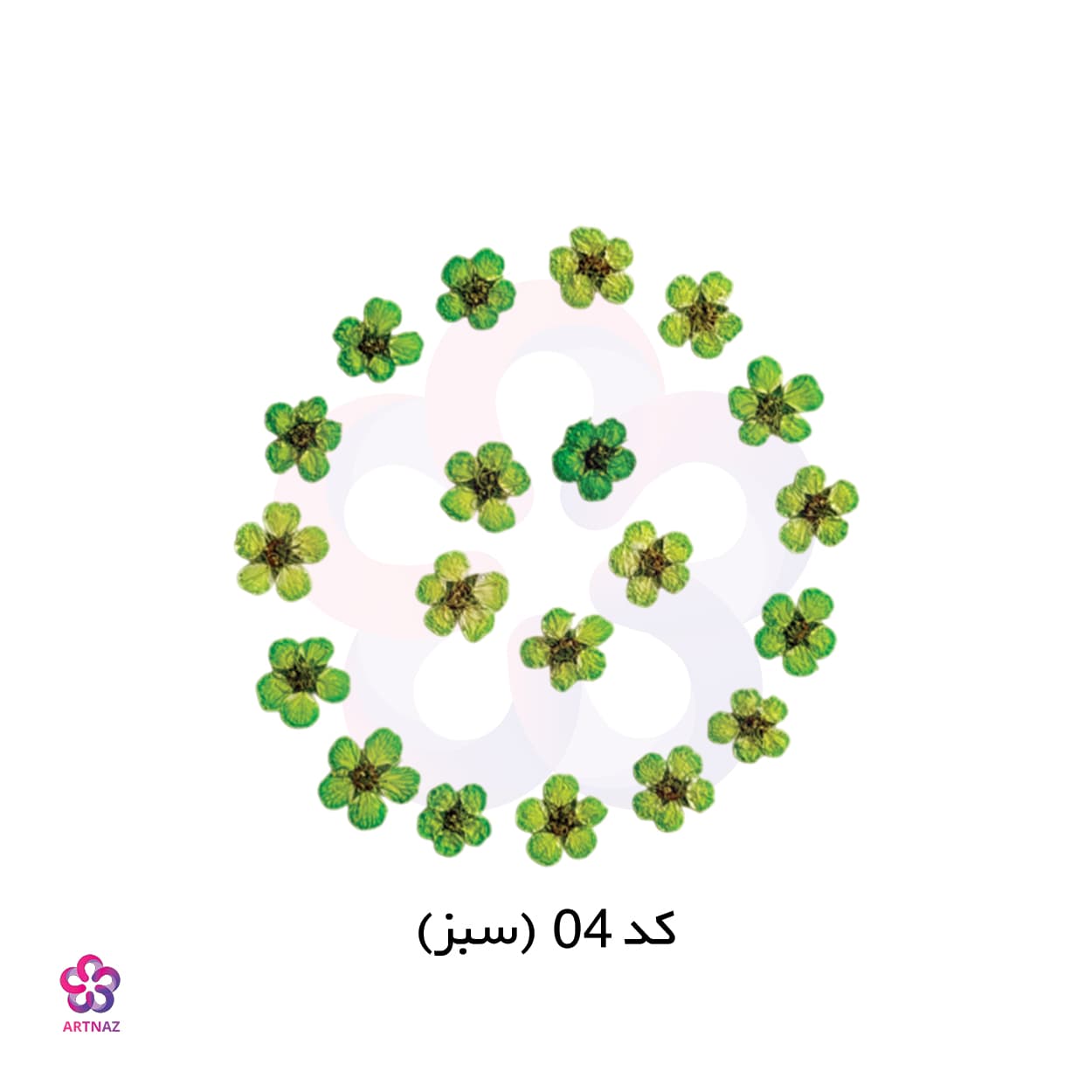 گل خشک اسپیره (10 عددی) — تصویر ۷
