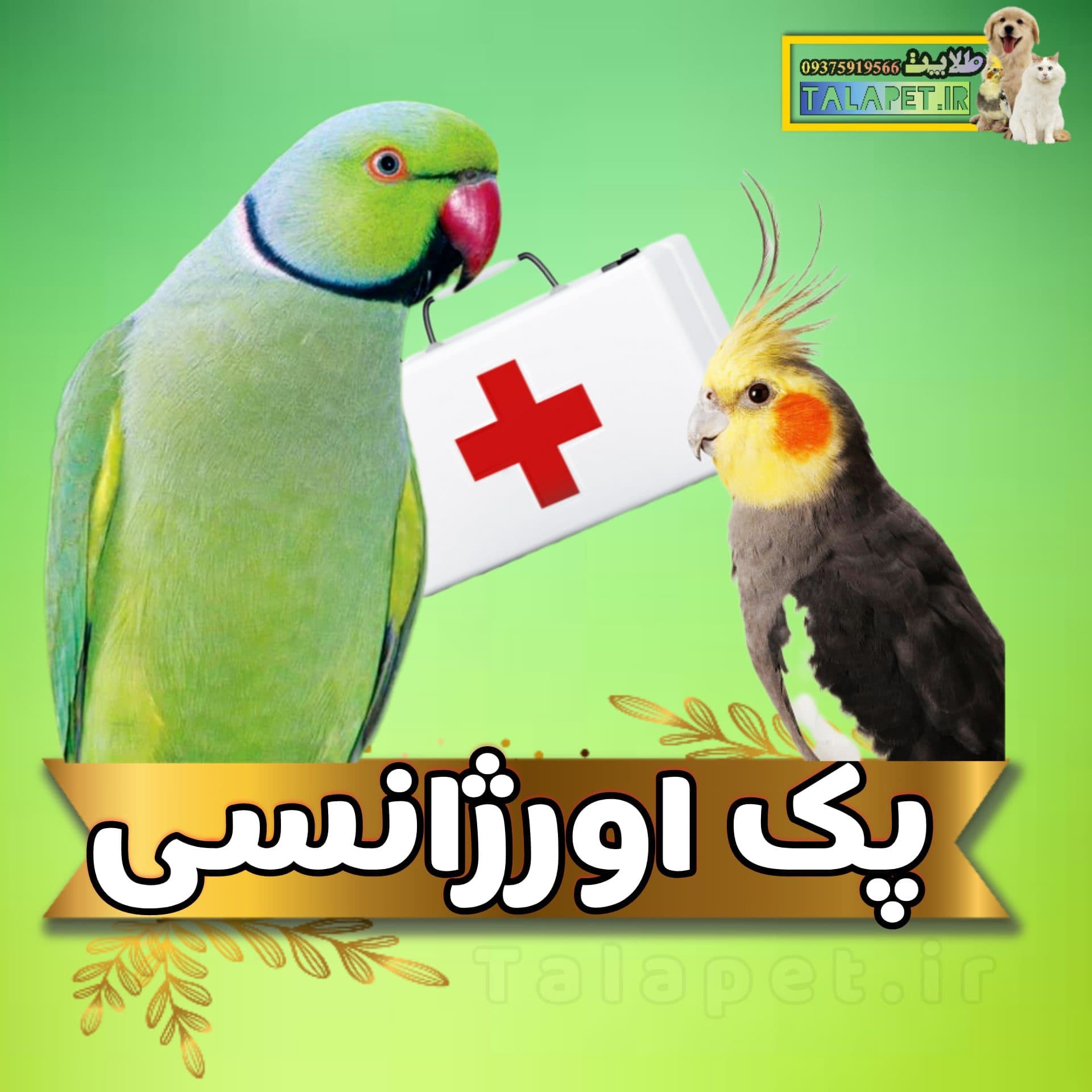 پک اورژانسی ضروری برای انواع پرندگان