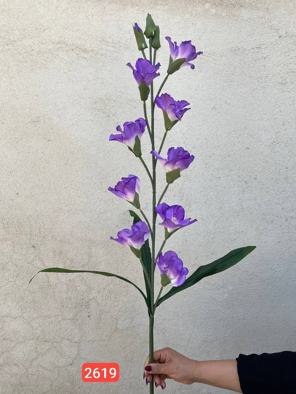 شاخه گلایل وارداتی (پک 12تایی )