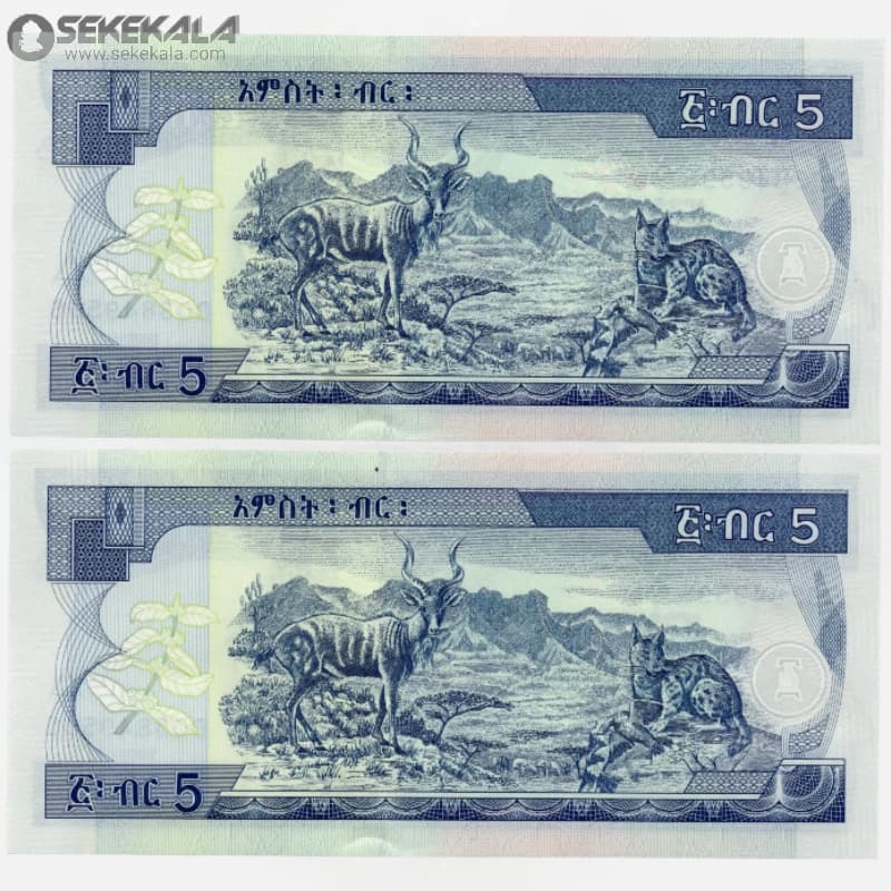 جفت اسکناس 5 بیر اتیوپی 2017 (UNC)(جمهوری دموکراتیک فدرال) — تصویر ۳