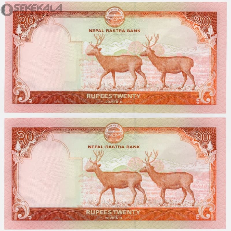 جفت اسکناس 20 روپیه نپال 2024 (UNC) (جمهوری فدرال) — تصویر ۳