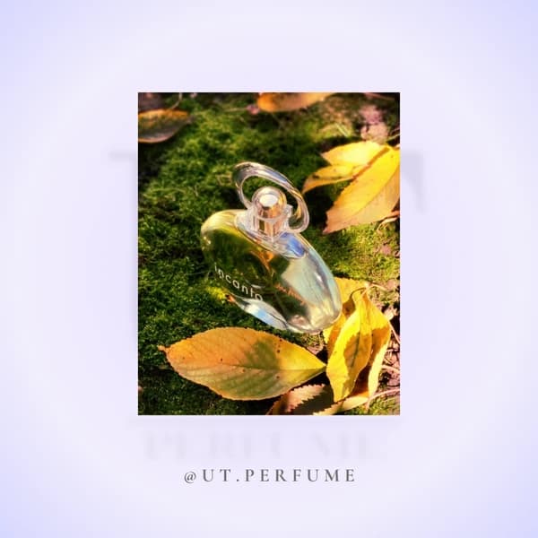 عطر سالواتوره فراگامو اینکانتو – Salvatore Ferragamo Incanto زنانه — تصویر ۸