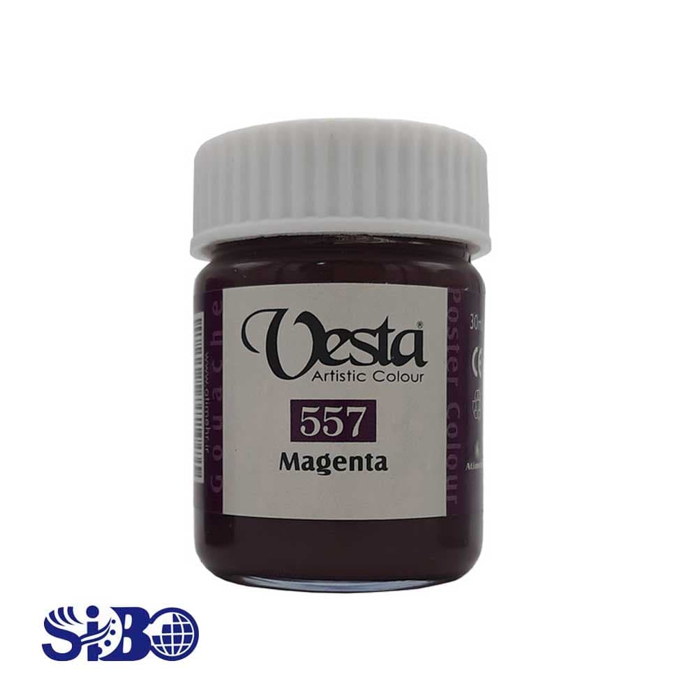 گواش وستا رنگ بنفش کد 557