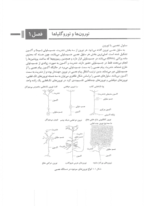 معرفی و دانلود کتاب روانشناسی فیزیولوژیک و انگیزش و هیجان — تصویر ۳