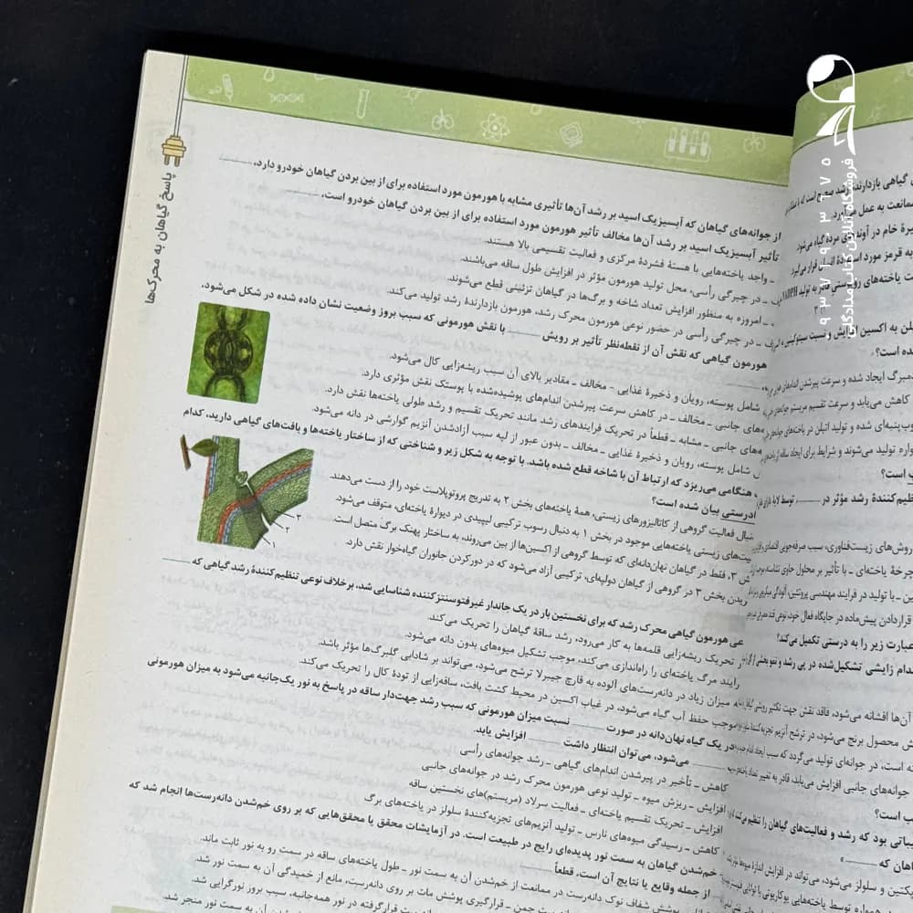 کتاب نردبام زیست شناسی یازدهم خیلی سبز (دست دوم) — تصویر ۳