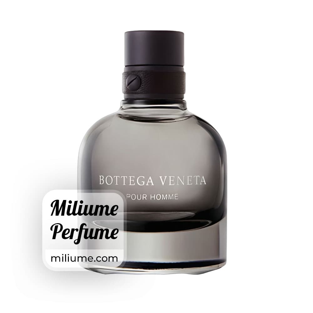عطر بوتکا ونتا پور هوم مردانه | bottega veneta pour homme men | برند Argeville