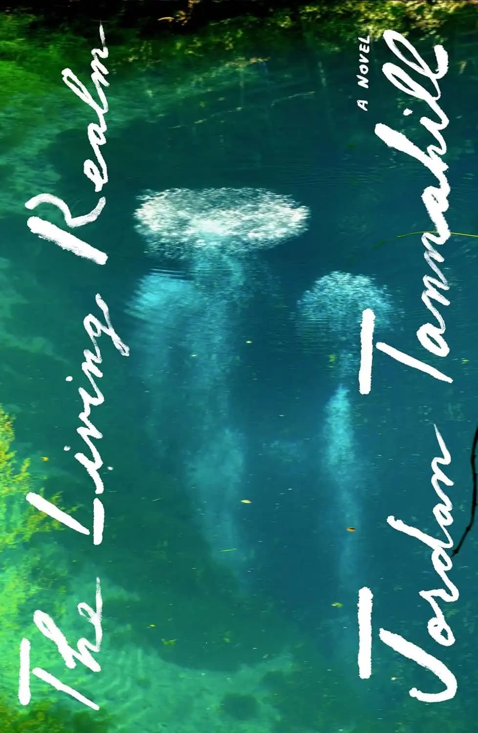 کتاب قلمرو زنده (The Living Realm) نسخه انگلیسی PDF | جردن تاناهیل — تصویر ۲