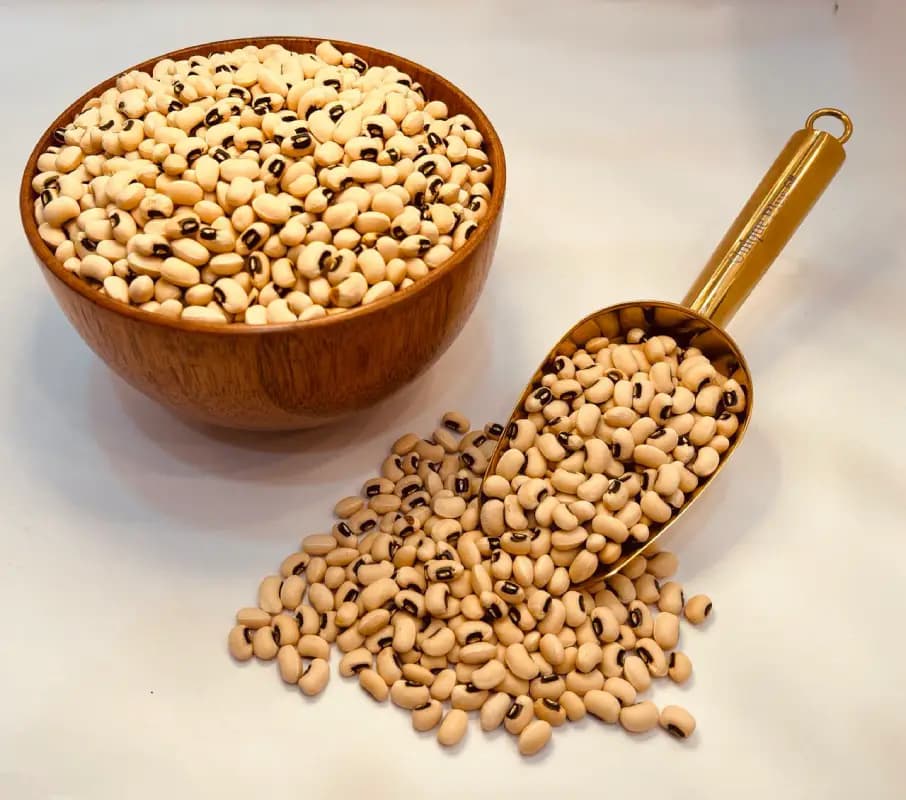 لوبیا چشم بلبلی ۵۰۰ گرمی — تصویر ۲