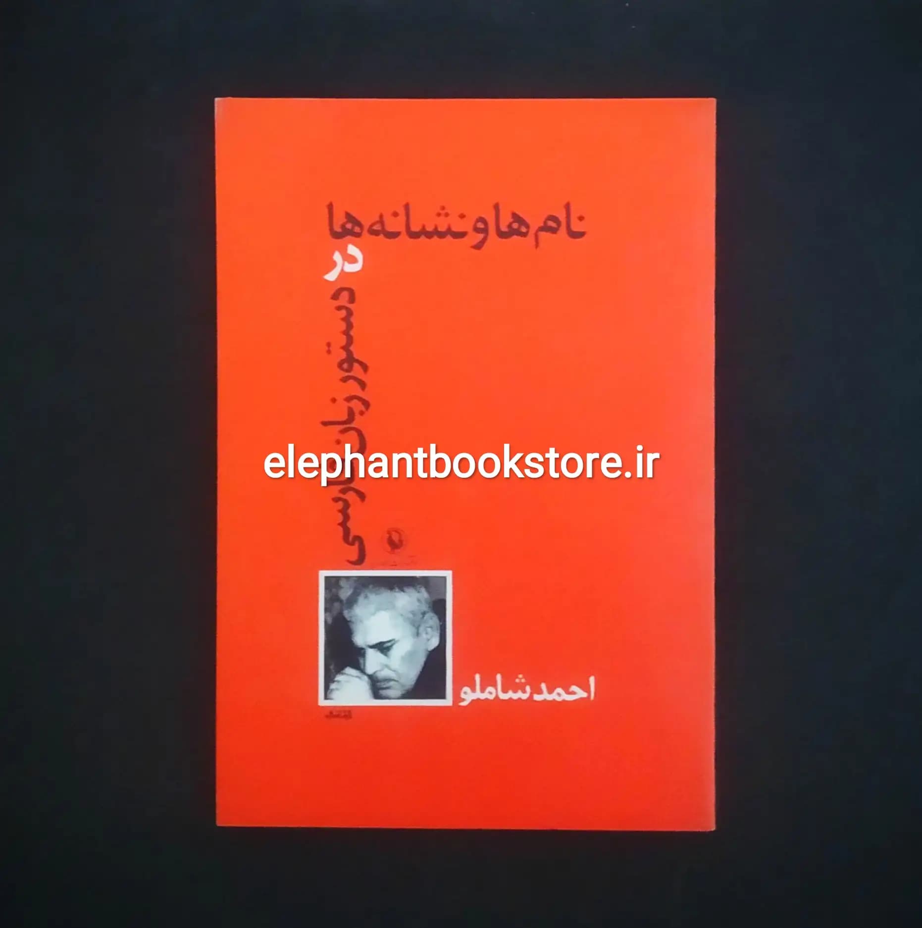 کتاب نام ها و نشانه ها در دستور زبان فارسی اثر احمد شاملو — تصویر ۲