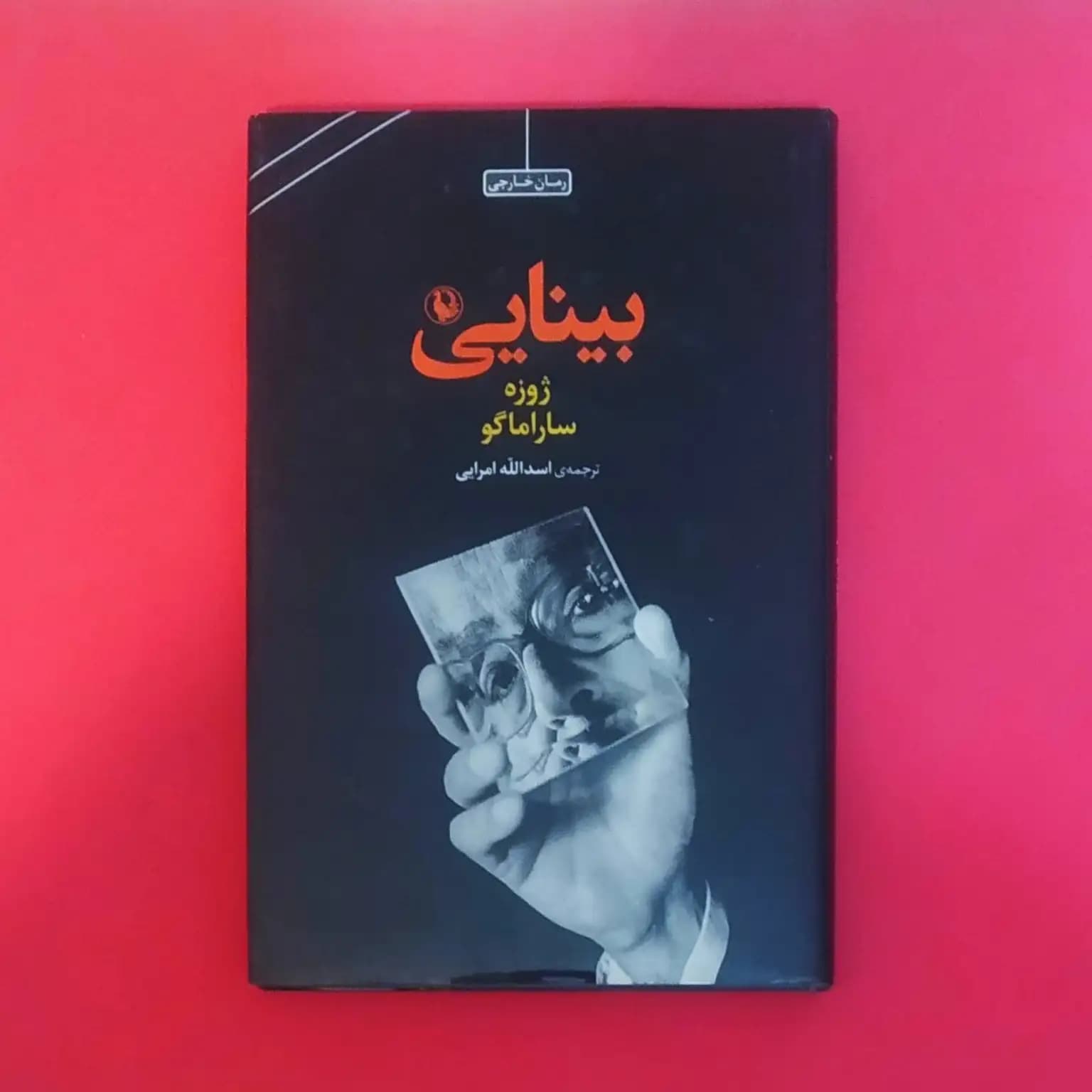 کتاب بینایی ترجمه اسد امرایی