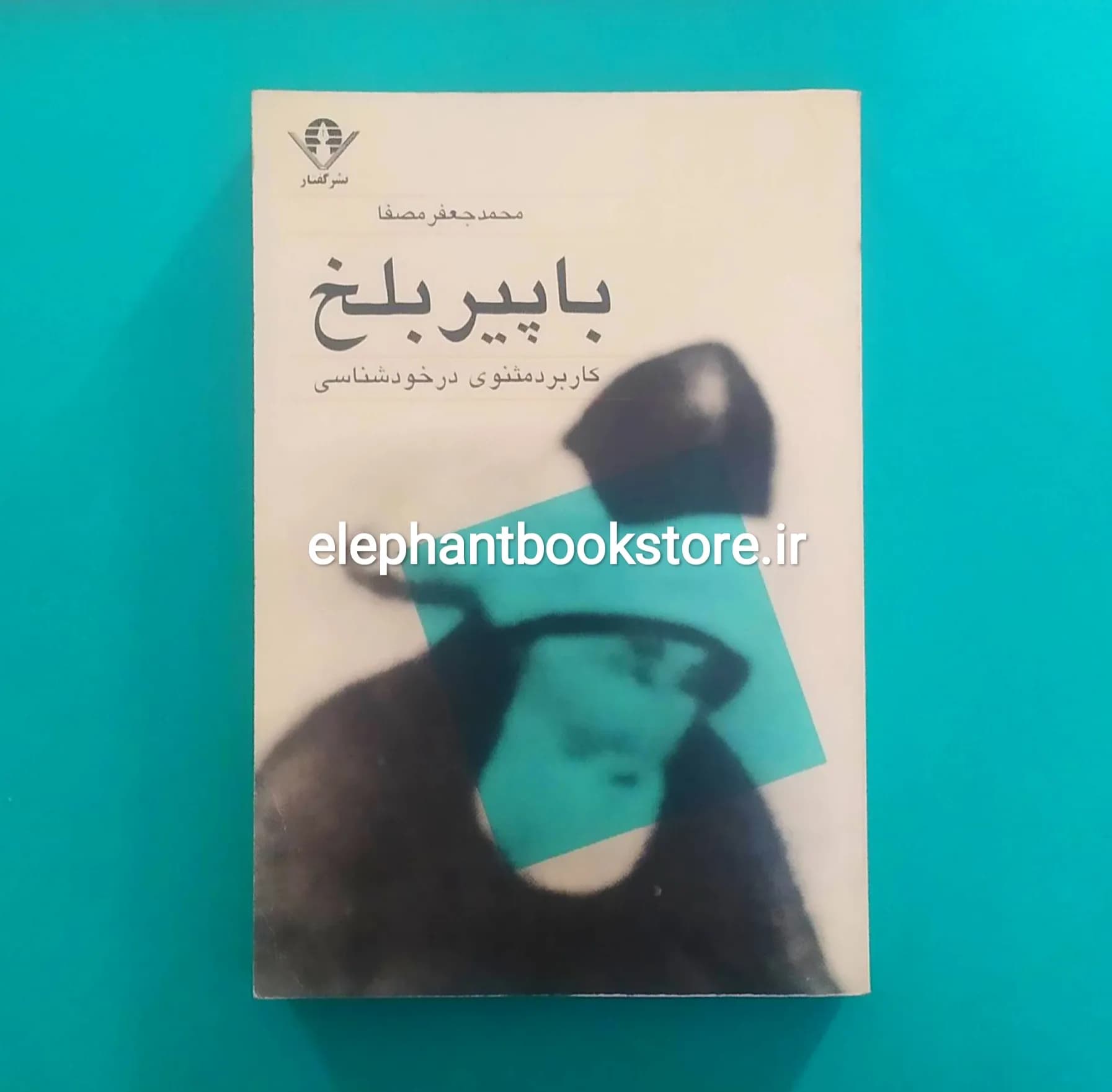 کتاب با پیر بلخ (کاربرد مثنوی در خودشناسی)