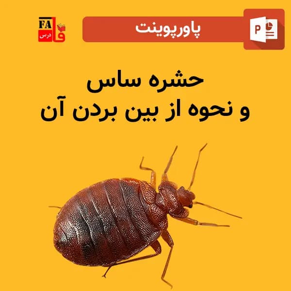 پاورپوینت حشره ساس و نحوه از بین بردن آن — تصویر ۲