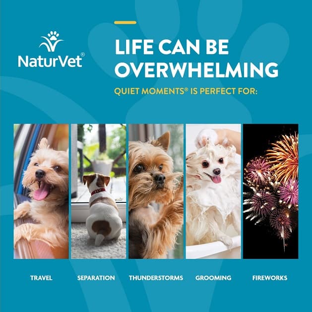 آرامش بخش و ضد استرس سگ نچر وت (آمریکایی) | ترکیبات گیاهی و 100% طبیعی | 240 عدد | NaturVet® CALMING AID — تصویر ۴