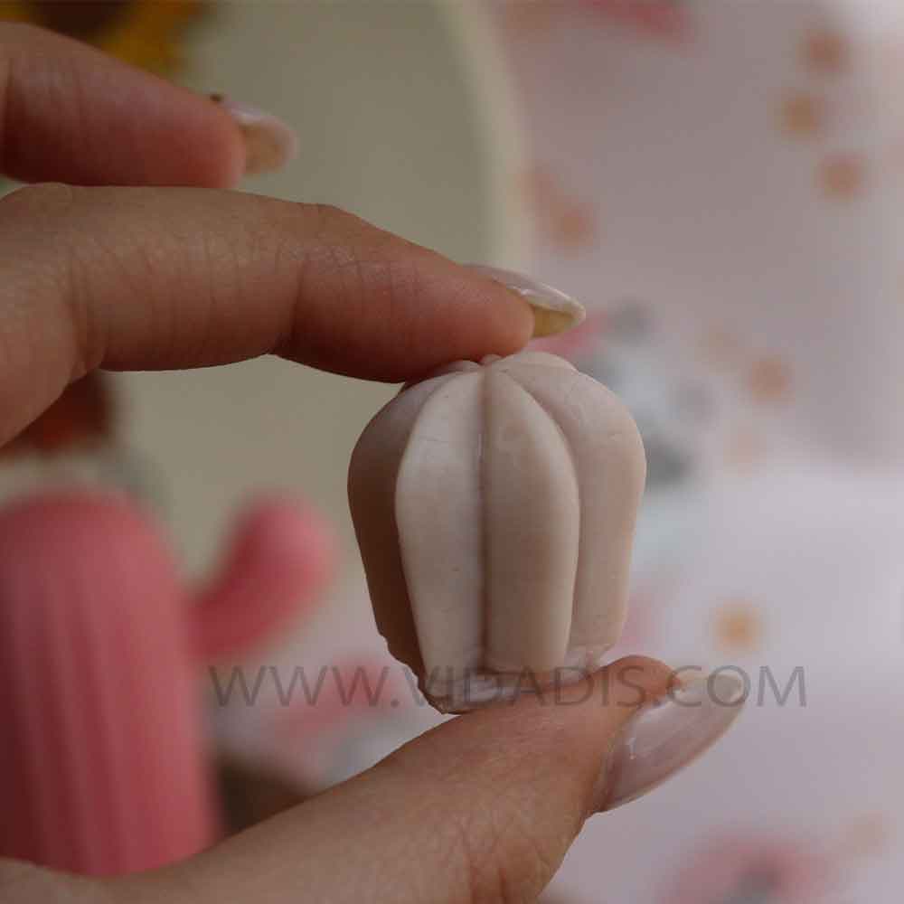 قالب سیلیکونی کاکتوس چهاروجهی