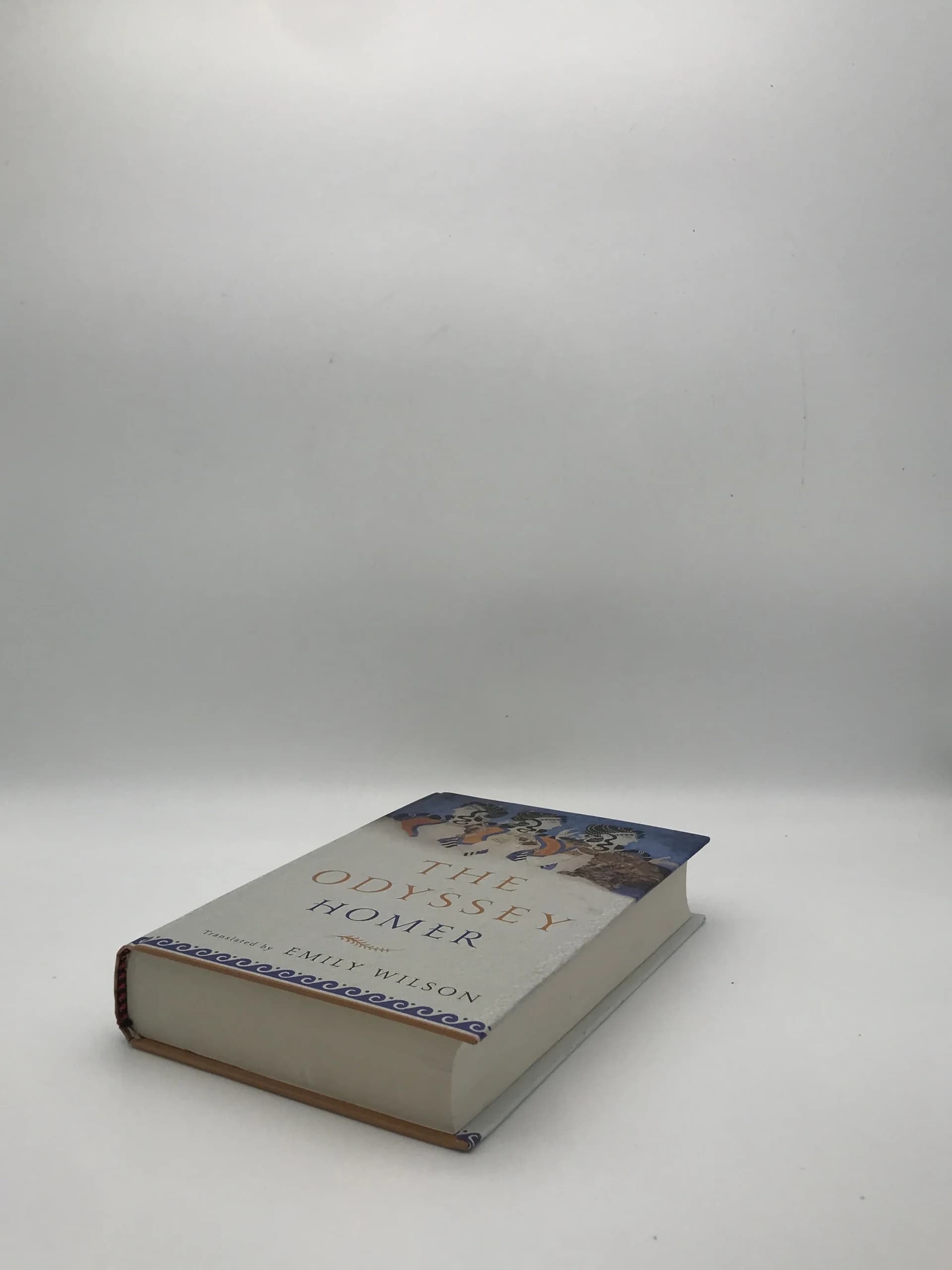 THE ODYSSEY نوشته هومر با ترجمه Emily Wilson — تصویر ۴