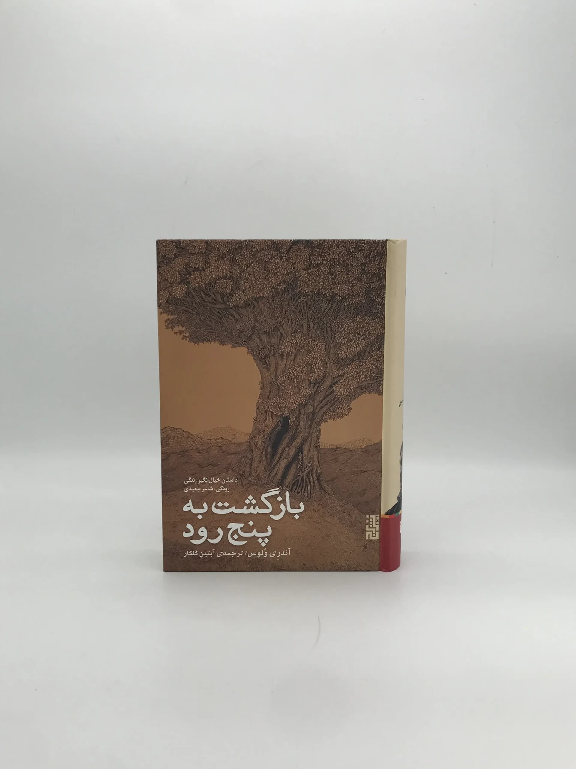 بازگشت به پنج رود نوشته آندری ولوس