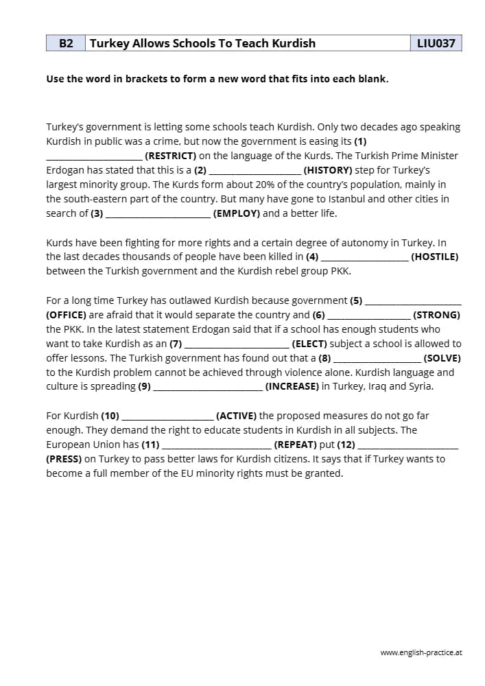 کتاب Turkey Allows Schools to Teach Kurdish (ترکیه به مدارس اجازه میدهد کردی تدریس کنند) نسخه انگلیسی PDF | نامشخص