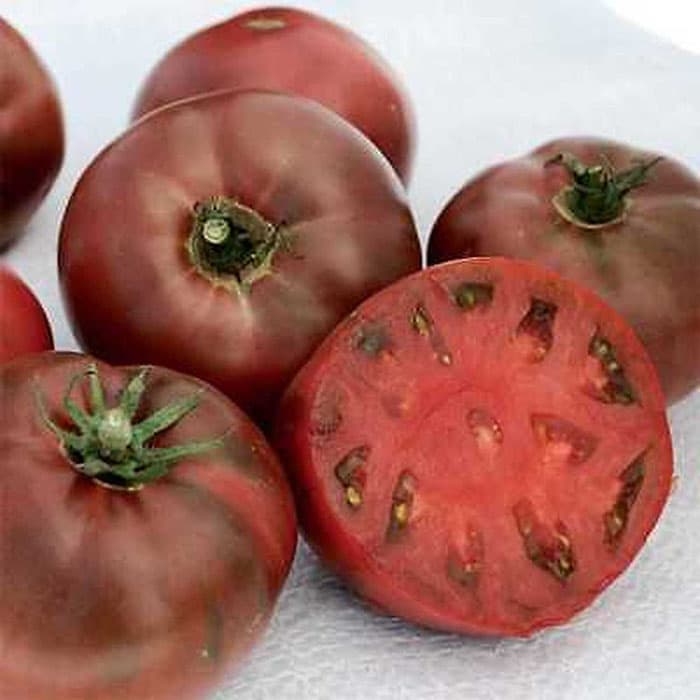 بذر گوجه فرنگی ارغوانی کربن آمریکایی بسته 10 عددی — تصویر ۲