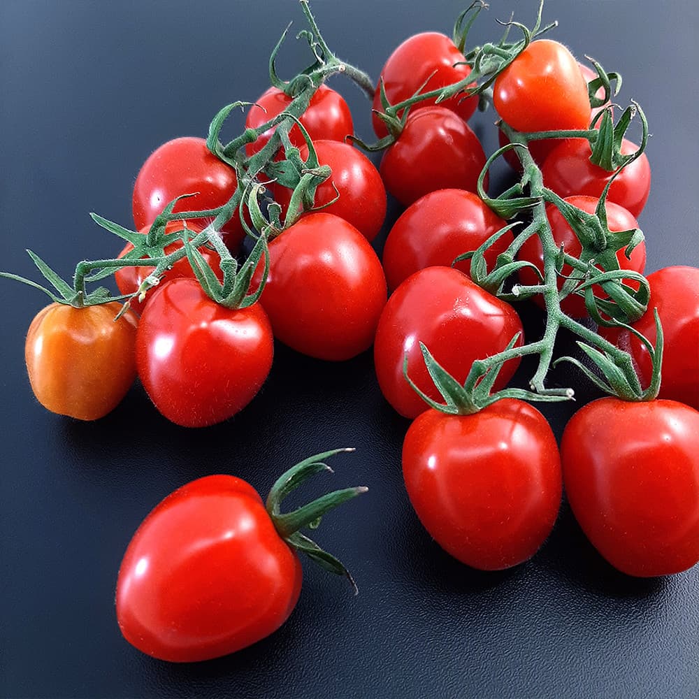 بذر گوجه فرنگی توت فرنگی هیبرید آذر فوق پربار خوشه ای دانژه بسته 5 عددی