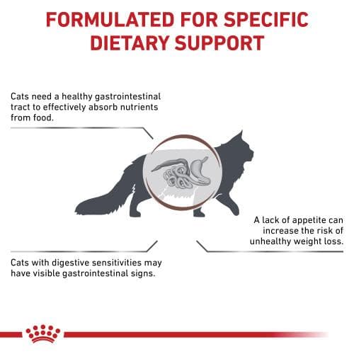 غذای خشک گربه رویال کنین گسترو اینتستینال 2 کیلوگرم Royal Canin Veterinary Feline Gastrointestinal Dry Cat Food — تصویر ۷