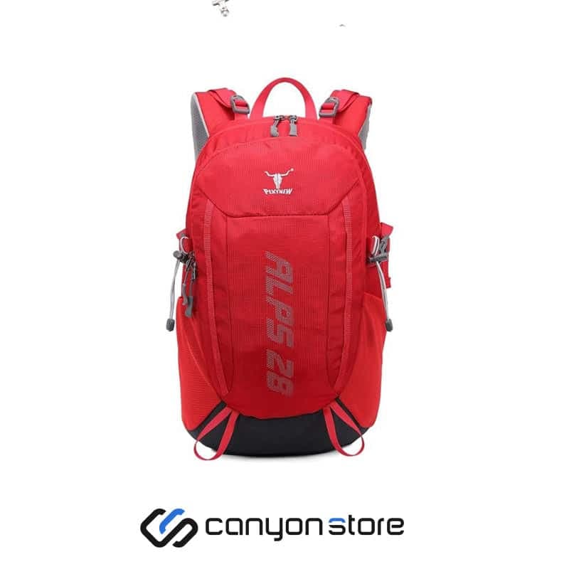 کوله پشتی پکینیو مدل Alps 28L KA-2072