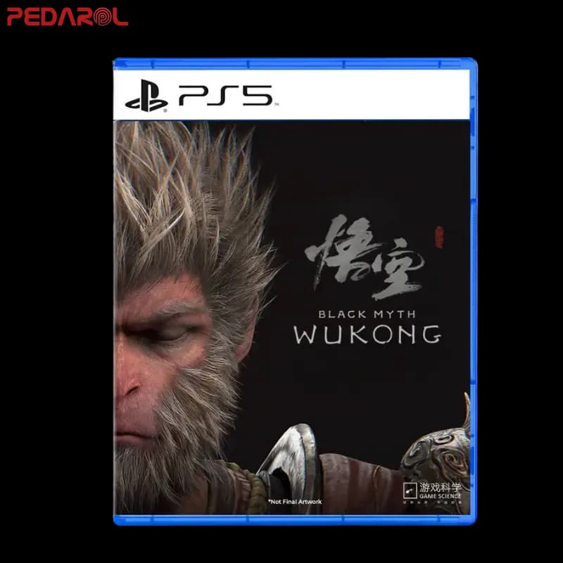 نصب بازی Black Myth: Wukong — تصویر ۲