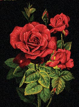 نقشه عددی گل،k3-549