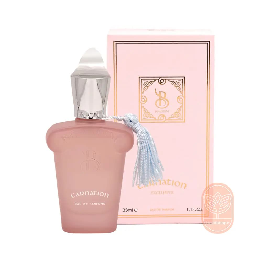 عطر کارنیشن برندینی | Brandini Carnation