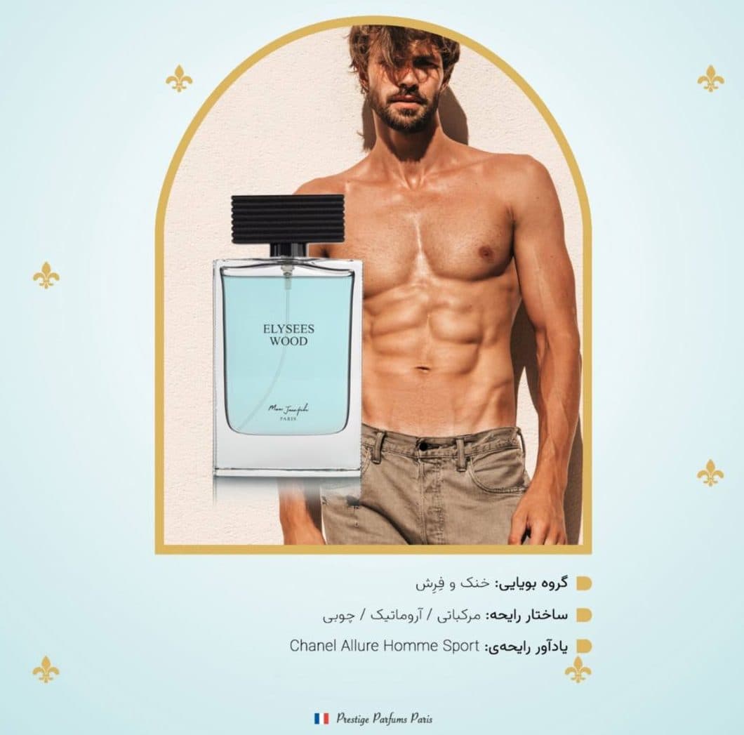 عطر مردانه الیزه وود | Elysees Wood | ادوپرفیوم 100 میل