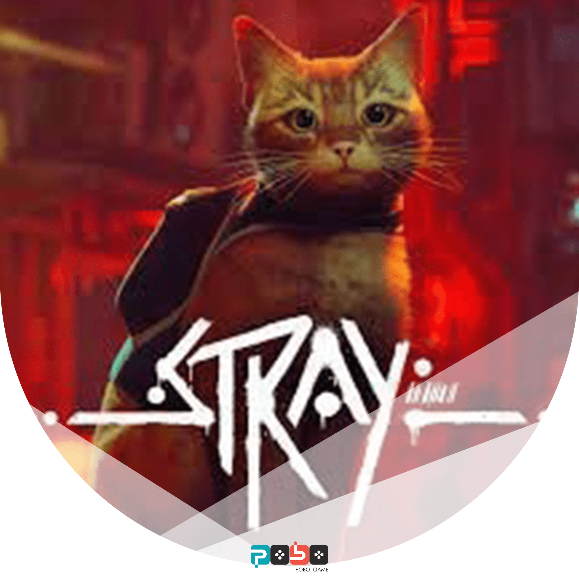 اکانت قانونی بازی Stray ظرفیت3