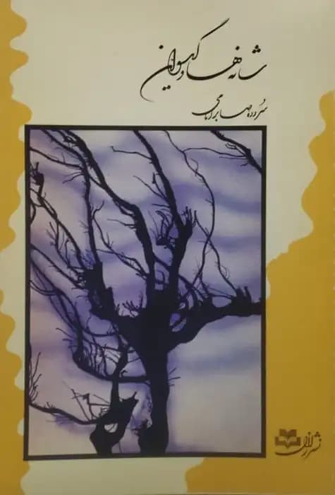 شانه ها و گیسوان | صابر امامی