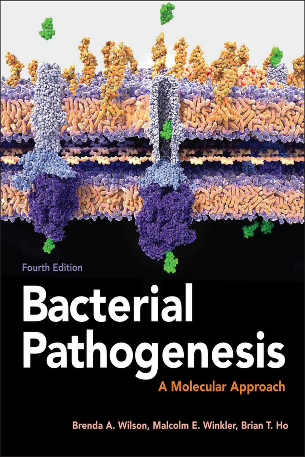 بیماریزایی باکتریایی ۲۰۱۹ <br> Bacterial Pathogenesis 2019 — تصویر ۲