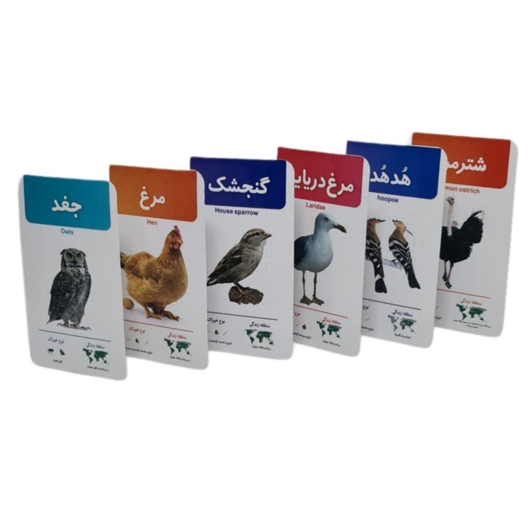 فلش کارت پرندگان اندیشه کهن 26 26 26 — تصویر ۳