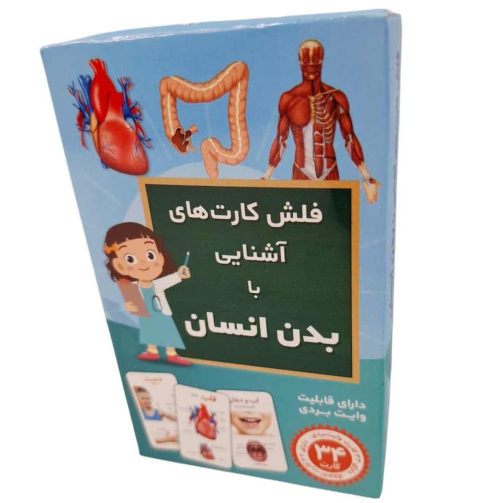 فلش کارت آشنایی با بدن انسان اندیشه کهن 38 38 38